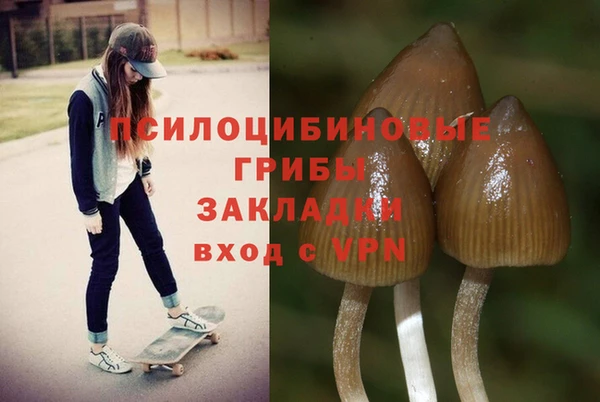 эйфоретик Абаза