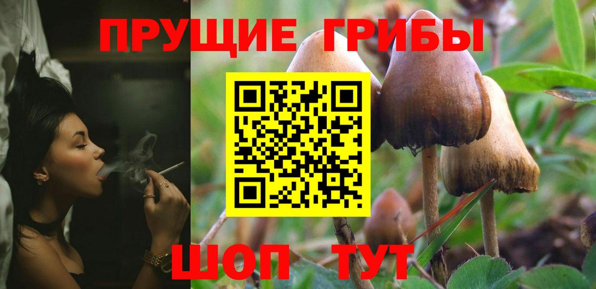 Каменск-Шахтинский  закладка  Галлюциногенные грибы Psilocybe  Вход с VPN  Галлюциногенные грибы MAGIC MUSHROOMS 