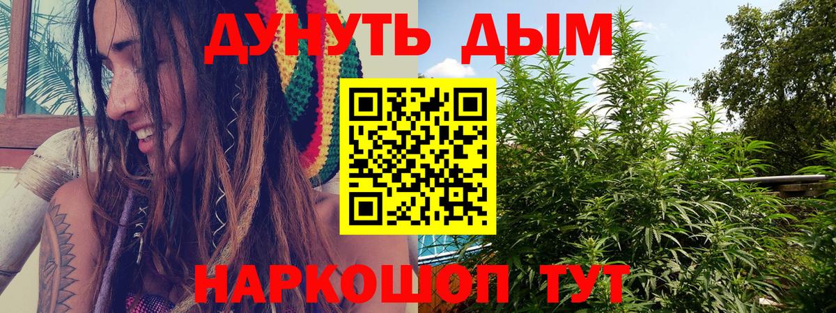 Шишки марихуана сатива  Вход с VPN  Каменск-Шахтинский  Шишки марихуана White Widow  Канабис Amnesia 